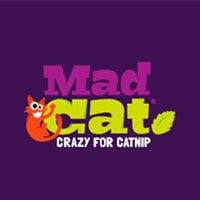 Mad Cat Toys For Cats